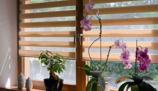 Perfect Window Blinds for Your Home